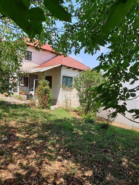 apartamente de vanzare turceni|Apartamente de vânzare: Turceni